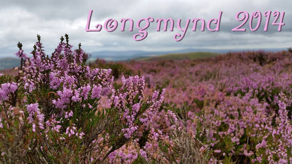 Picture of the Longmynd, which is a sea of pink/purple heather.