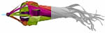picture of windsock, 10% in colour