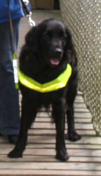 Picture of Verity - Click to see where !!