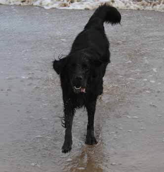 Picture of Verity in the Sea